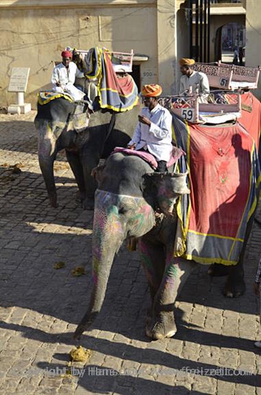 04 Fort_Amber_and Elephants,_Jaipur_DSC4991_b_H600